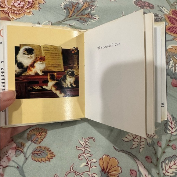 Cats A Feline Potpourri Book - Picture 8 of 13